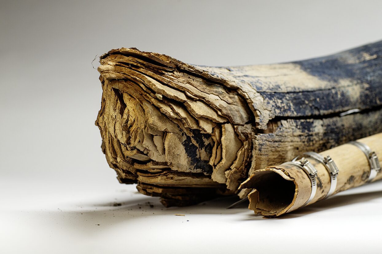 Large broken Woolly Mammoth tusk, weathered it is in rough shape, this male tusk next to the female tusk. The animals lived during the Last Ice Age some 15000 years ago, and are now extinct in our eco system. Its interesting seeing the size difference between the male and female tusk