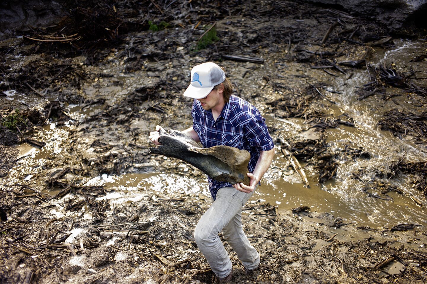 At the Boneyard dig site, Kinsey have discovered a perfectly preserved holly mammoth leg bone in the permafrost. Discovery of animal bones from the Last Ice Age are made this day in July. Perfectly preserved bone of Wooly Mammoth discovered in the melting permafrost. He is walking up caring this large bone.