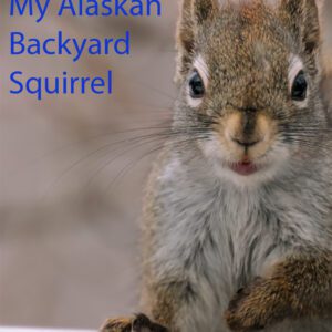 My Alaskan Backyard Squirrel
